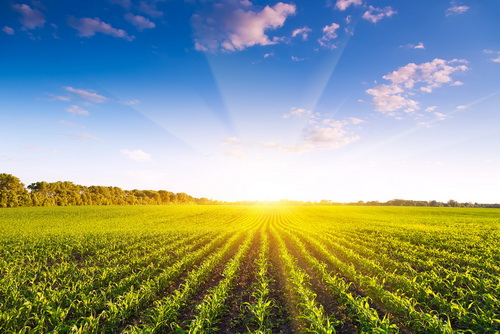 farming-energy-efficiency1.jpg farming-energy-efficiency1.jpg